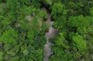 Devastação na Amazônia ameaça segurança hídrica do Sul e Sudeste