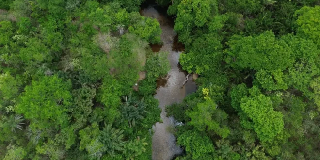 Devastação na Amazônia ameaça segurança hídrica do Sul e Sudeste