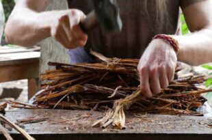 MPF recomenda revisão das regras sobre uso da ayahuasca no Brasil