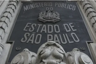 Bizarro: estão comercializando sangue de gatos