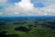 Mudanças climáticas: Amazônia se aproxima de ponto de não retorno, alerta relatório