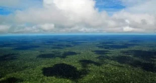 Mudanças climáticas: Amazônia se aproxima de ponto de não retorno, alerta relatório