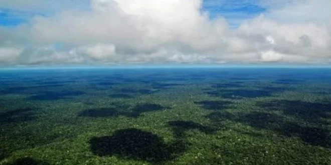 Mudanças climáticas: Amazônia se aproxima de ponto de não retorno, alerta relatório