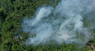 Queimadas continuam e Manaus registra poluição até dez vezes maior que a recomendada pela OMS