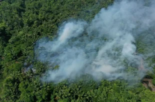 Queimadas continuam e Manaus registra poluição até dez vezes maior que a recomendada pela OMS
