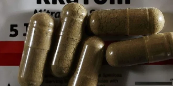 Kratom: droga chamada de heroína dos postos de gasolina provoca alarme nas autoridades dos EUA