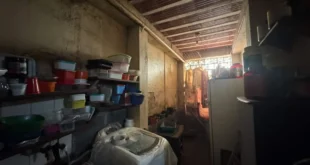 Casa de cidadãos de bem: idosas são resgatadas de trabalho escravo em BH