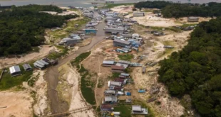 Alerta: seca na Amazônia atingiu 38% das áreas habitadas no último El Niño