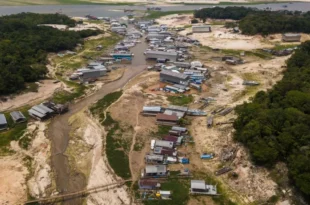 Alerta: seca na Amazônia atingiu 38% das áreas habitadas no último El Niño