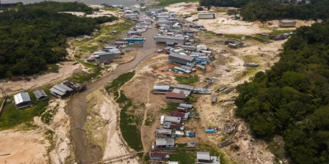 Alerta: seca na Amazônia atingiu 38% das áreas habitadas no último El Niño