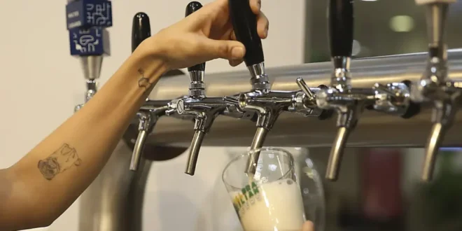 Atenção: Acre terá restrição a bebidas nas eleições; Lei Seca