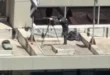 Fuzis na Paulista: Snipers da PM são posicionados em prédios durante ato de Flávio Bolsonaro em SP