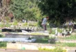 Valha-me: Policiais são investigados sob suspeita de venda de dados de mortos para funerárias