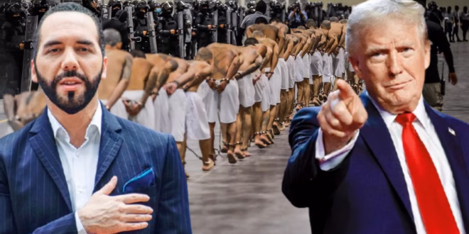 O caminho do autoritarismo: Flávio diz que “El Salvador é pouco” e recorre a Derrite para endurecer segurança