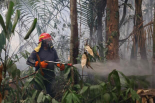 Alerta: situação climática no Amazonas é 'mais grave do que o imaginado', diz ministro do Meio Ambiente