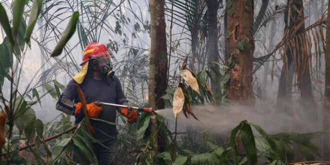 Alerta: situação climática no Amazonas é 'mais grave do que o imaginado', diz ministro do Meio Ambiente
