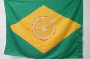 Assista ao vídeo "Revelando a República dos Laranjas", que mostra as relações de Flávio Bolsonaro